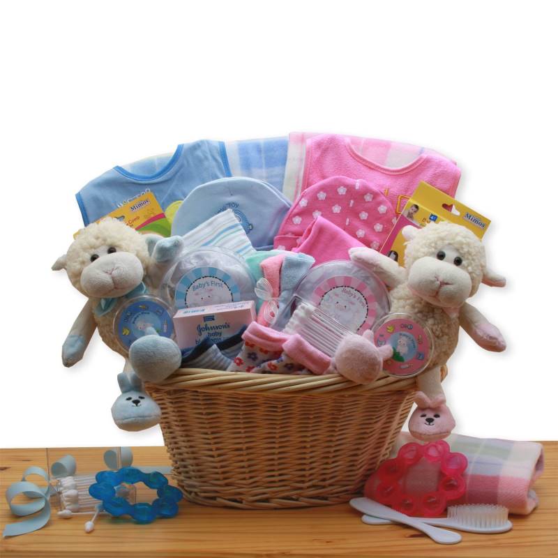 double-delight-twins-new-baby-boy-and-girl-gift-basket-storks-of