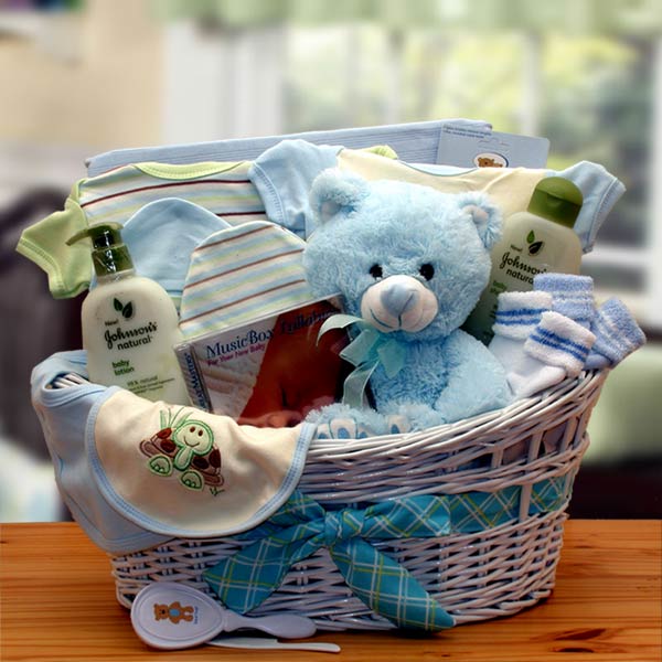 Deluxe Organic New Baby Gift Basket for Boys | Storks.com of Brookhaven