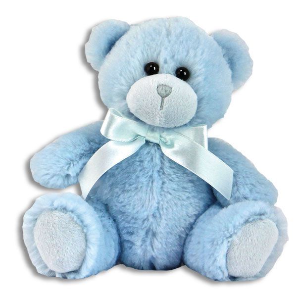 Teddy Bear Plush – Boy | Storks.com of Brookhaven